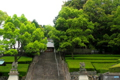 春の芽生え