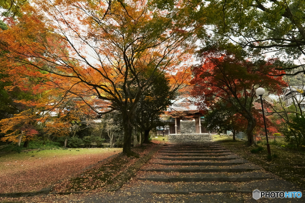 瑞応寺の紅葉
