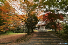 瑞応寺の紅葉