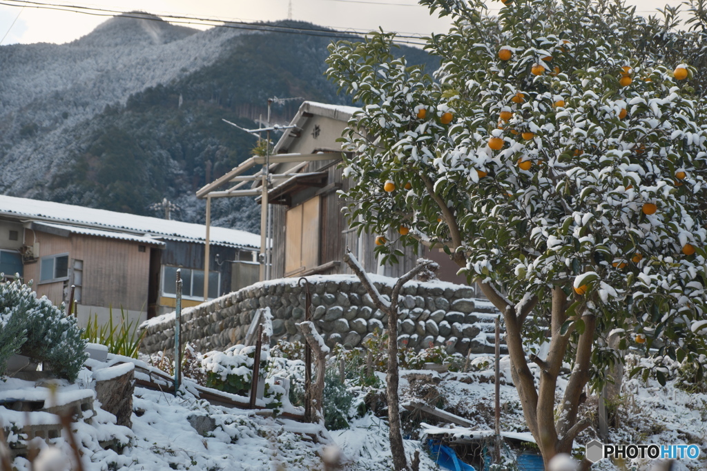 目覚めると雪だった