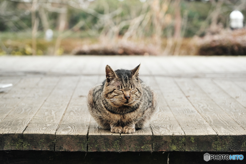 うたた寝