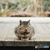 うたた寝