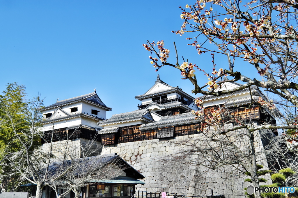 松山城その２