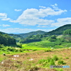 夏の里山