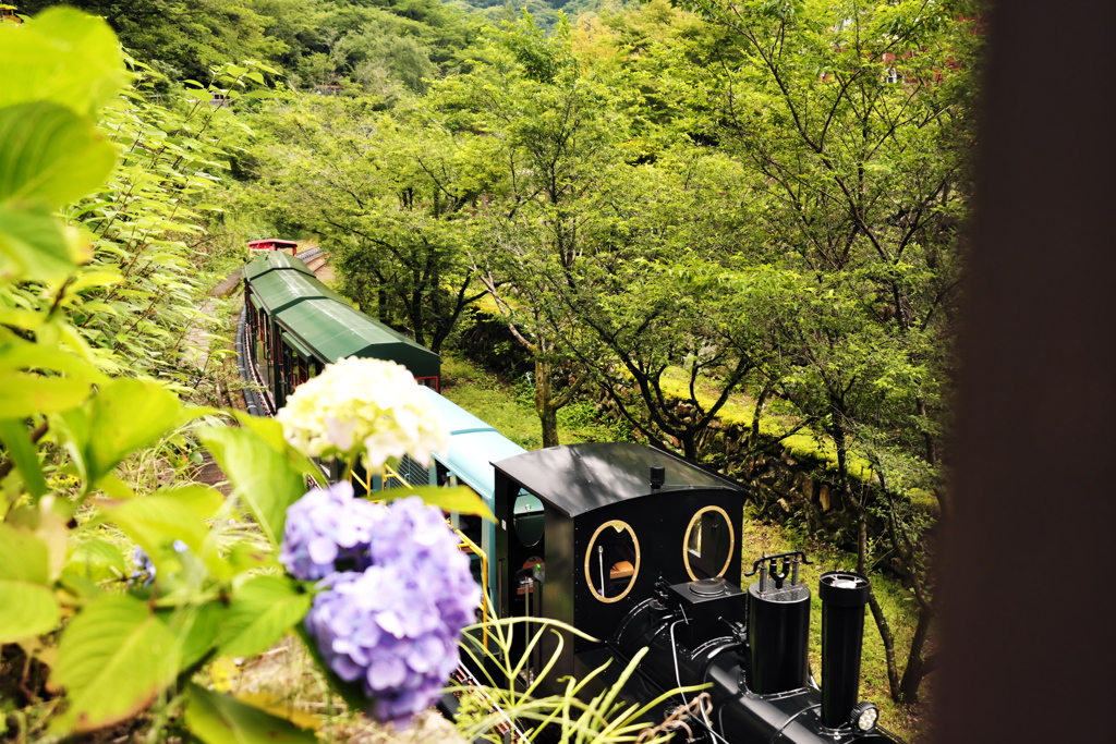 観光列車