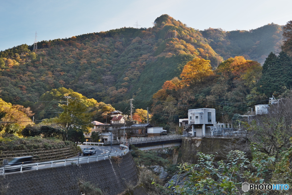 別子ラインの紅葉