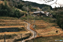 田舎のt一軒家