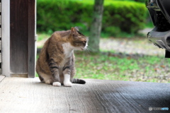 自由気ままに