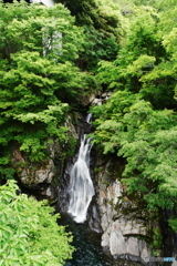 新緑の滝