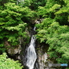 新緑の滝
