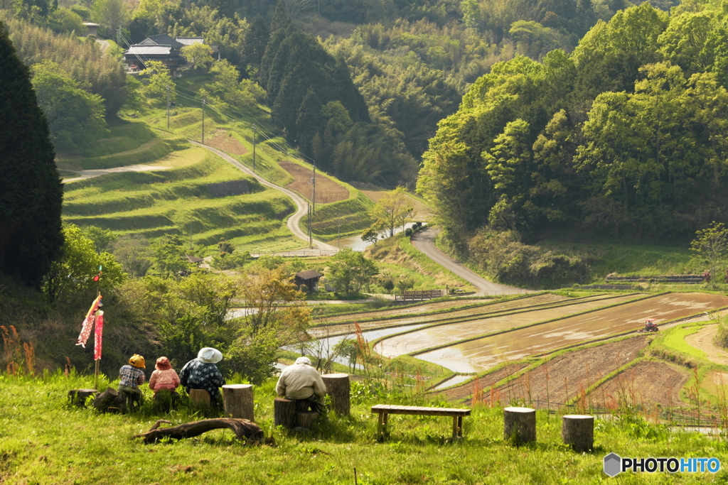 里山の春