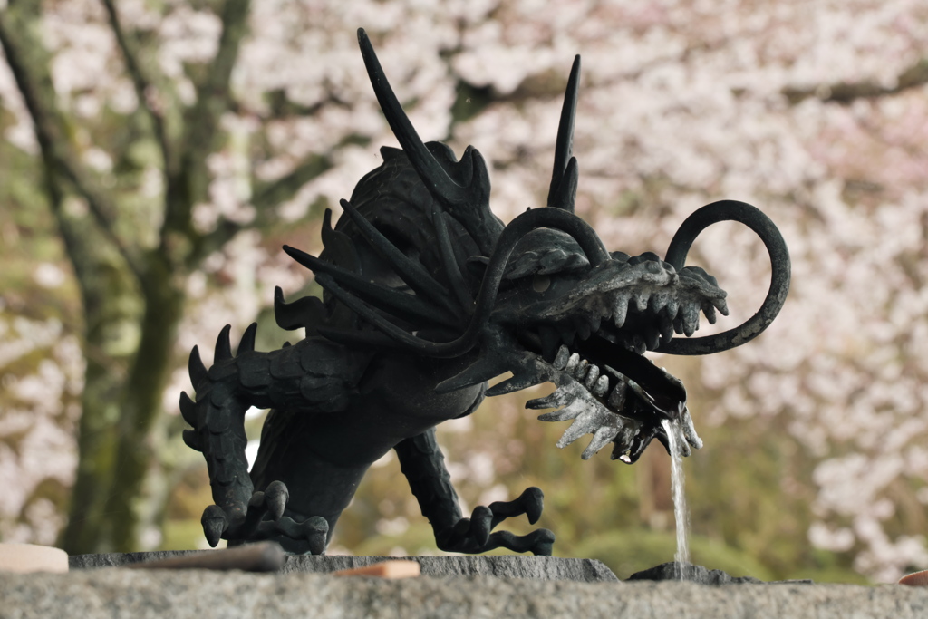 手水舎