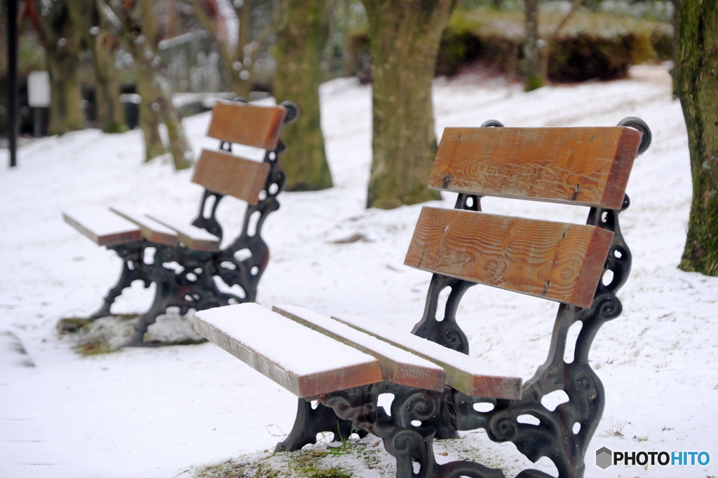 雪の公園