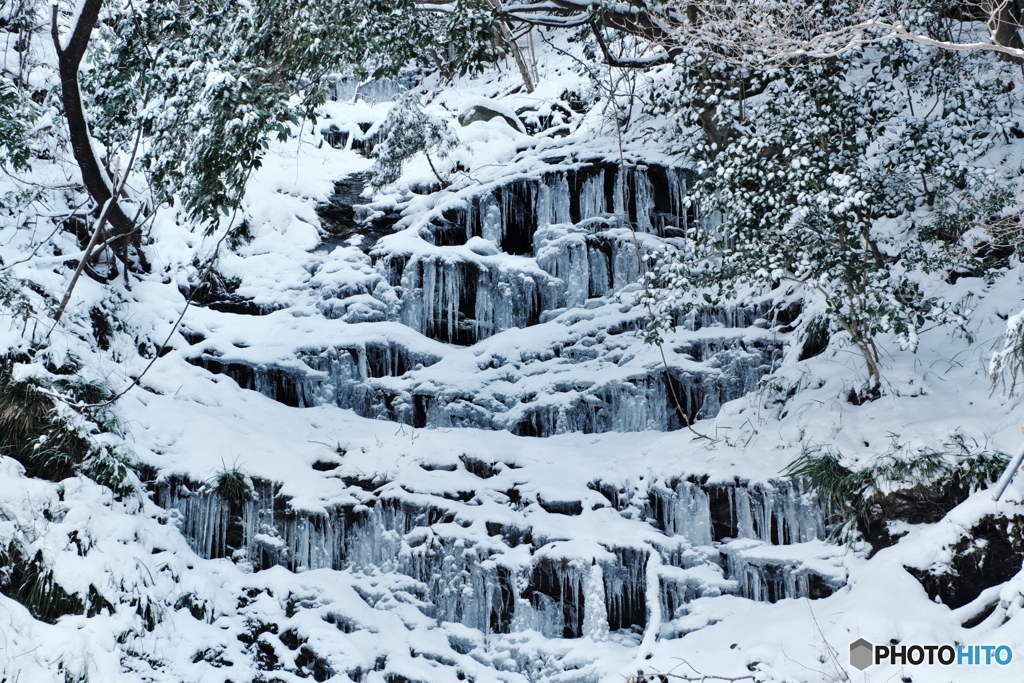 氷の世界