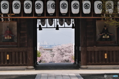 山門から見える春景色　石鎚神社