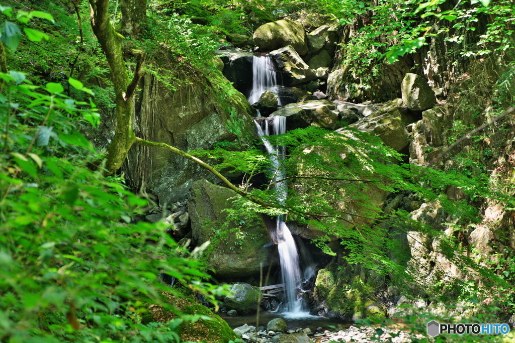 涼を探して白猪の滝へ