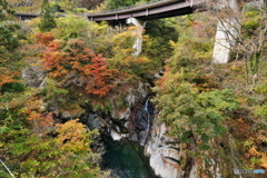 別子ラインの紅葉