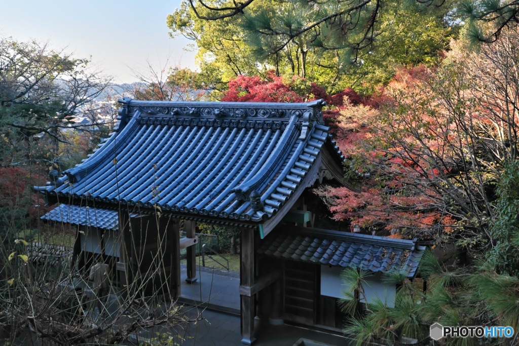 瑞応寺の紅葉
