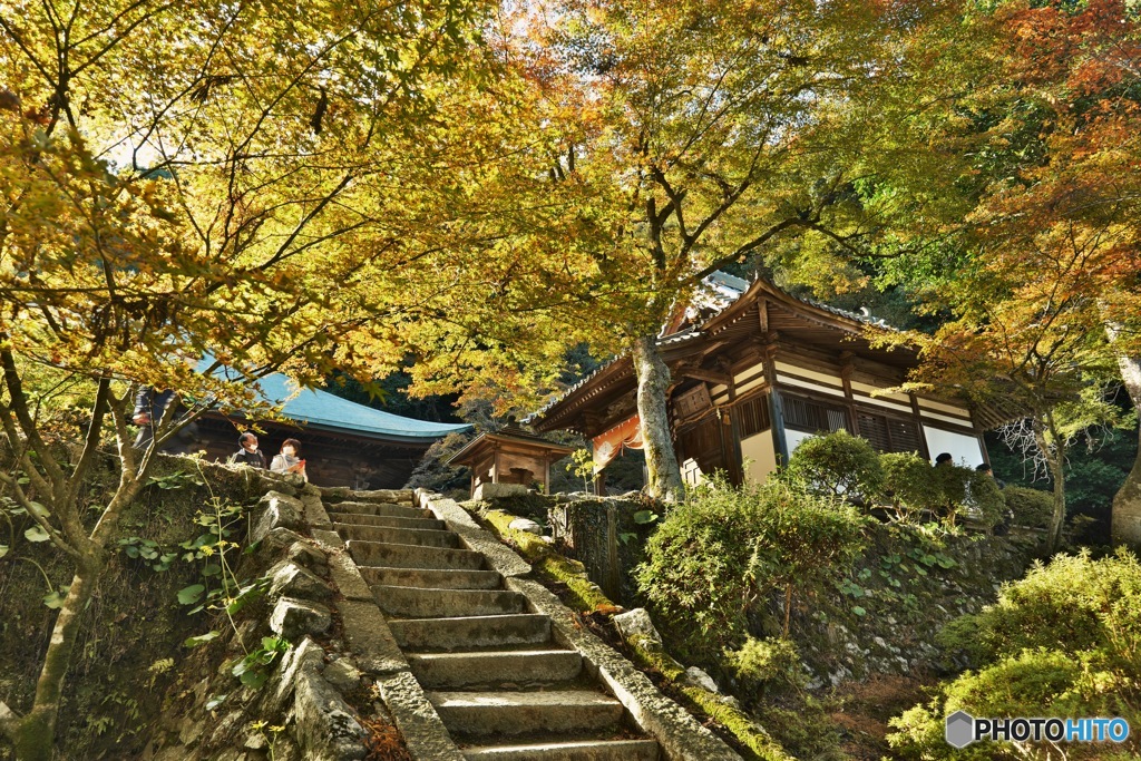 紅葉寺