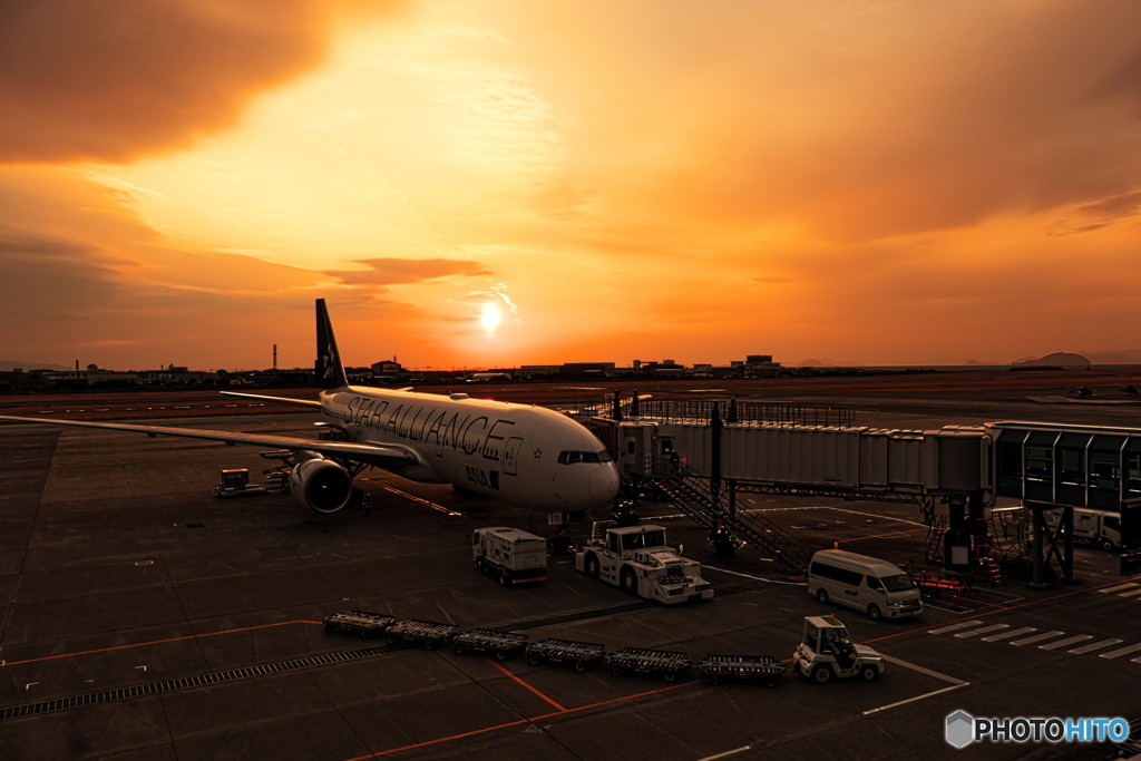 夕陽に向かって飛べ