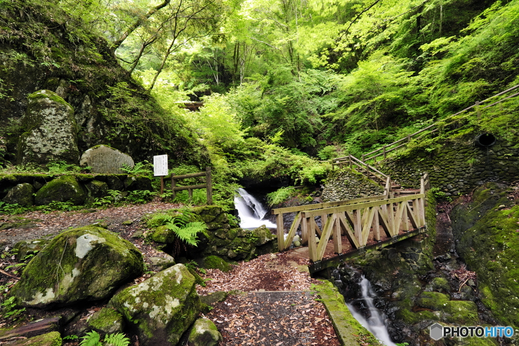 白猪の滝　