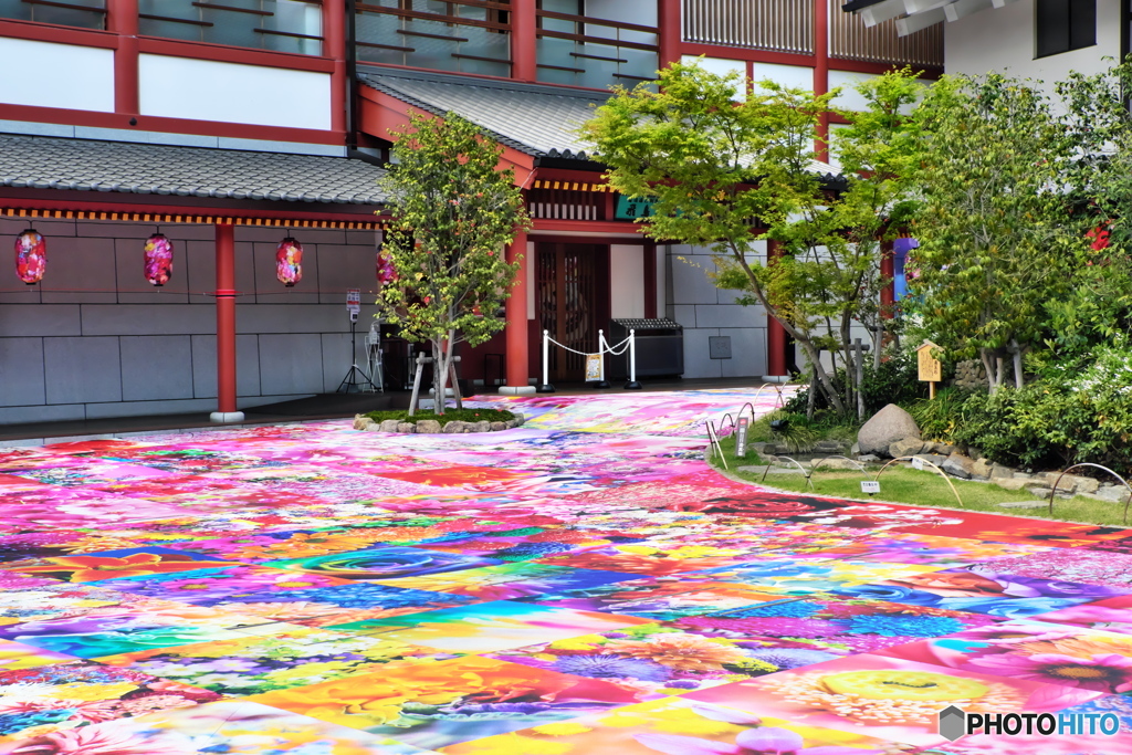 道後温泉　飛鳥の湯