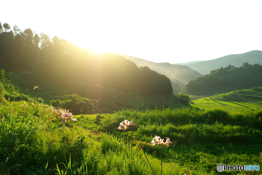 暮れる里山