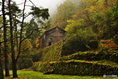 山中の廃墟