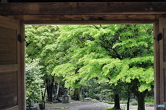 山門からの光景