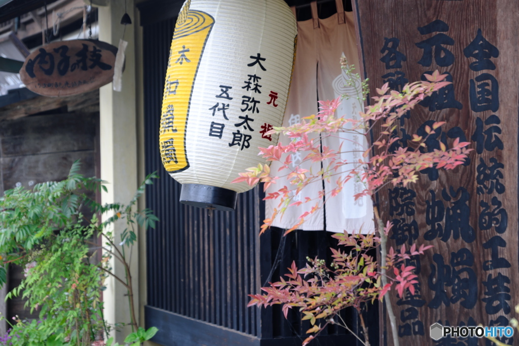 五代目