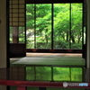 日本の美