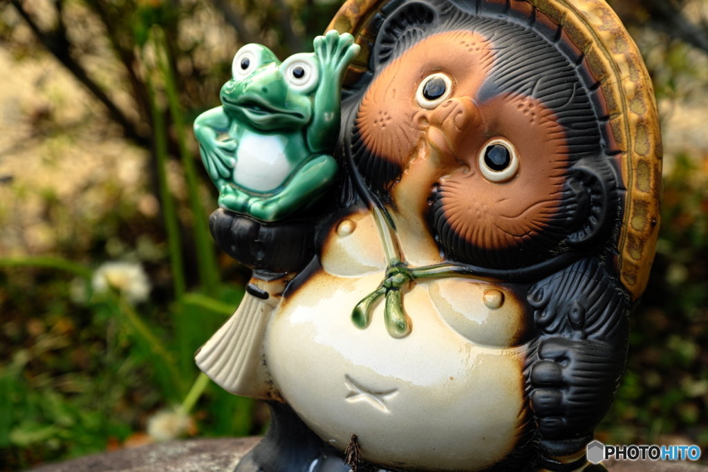 狸