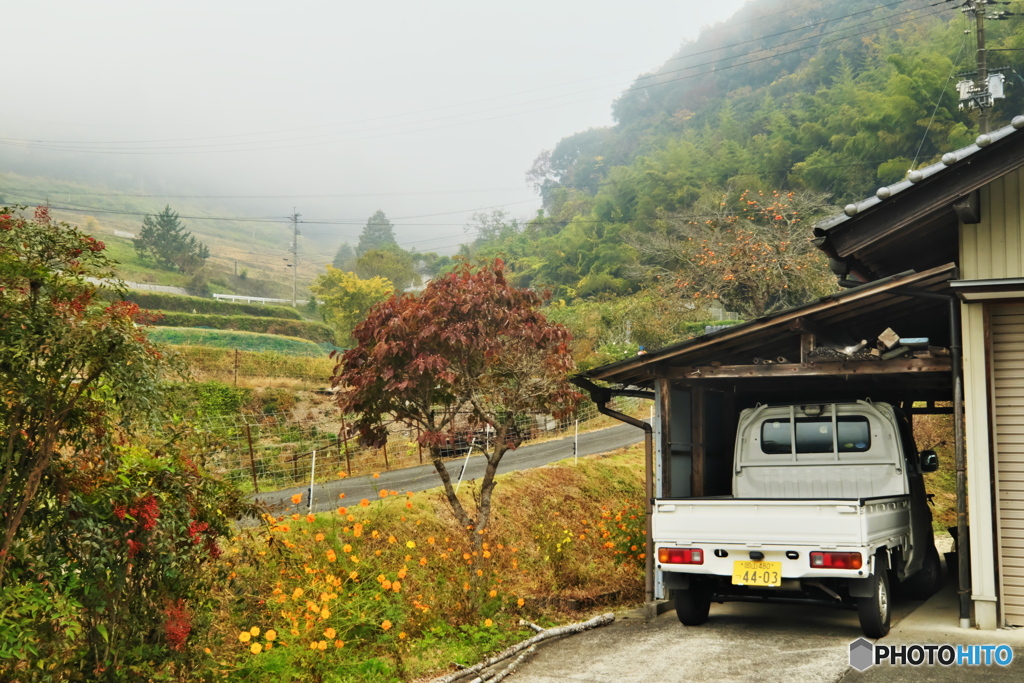里山の朝