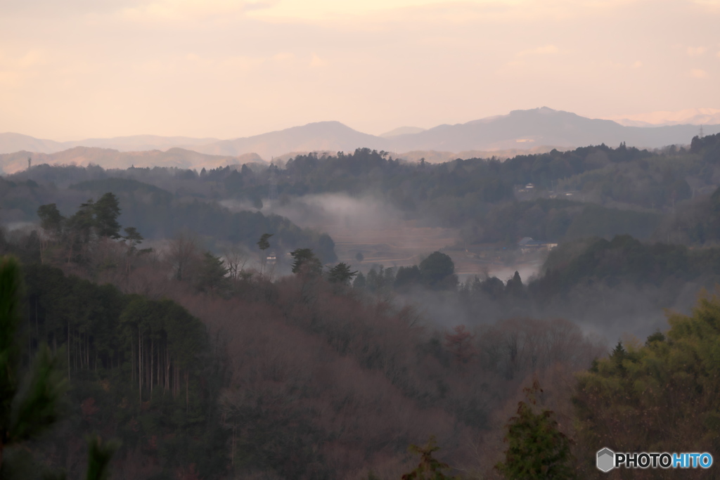 里山の朝