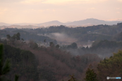 里山の朝