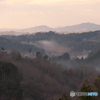 里山の朝