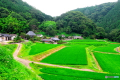 里山