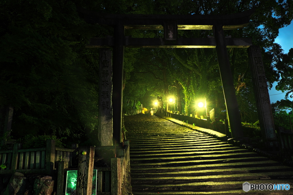 夜の参道