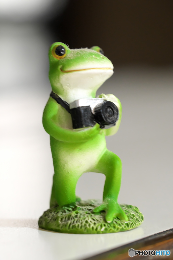 フォトグラファー