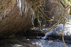 冬の滑川渓谷
