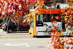 路面電車