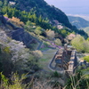 別子銅山の春