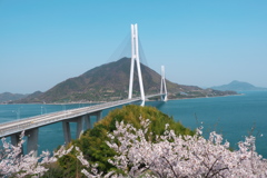 瀬戸内しまなみの春