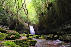 新緑の滑川渓谷