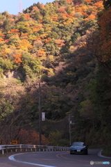紅葉ドライブ
