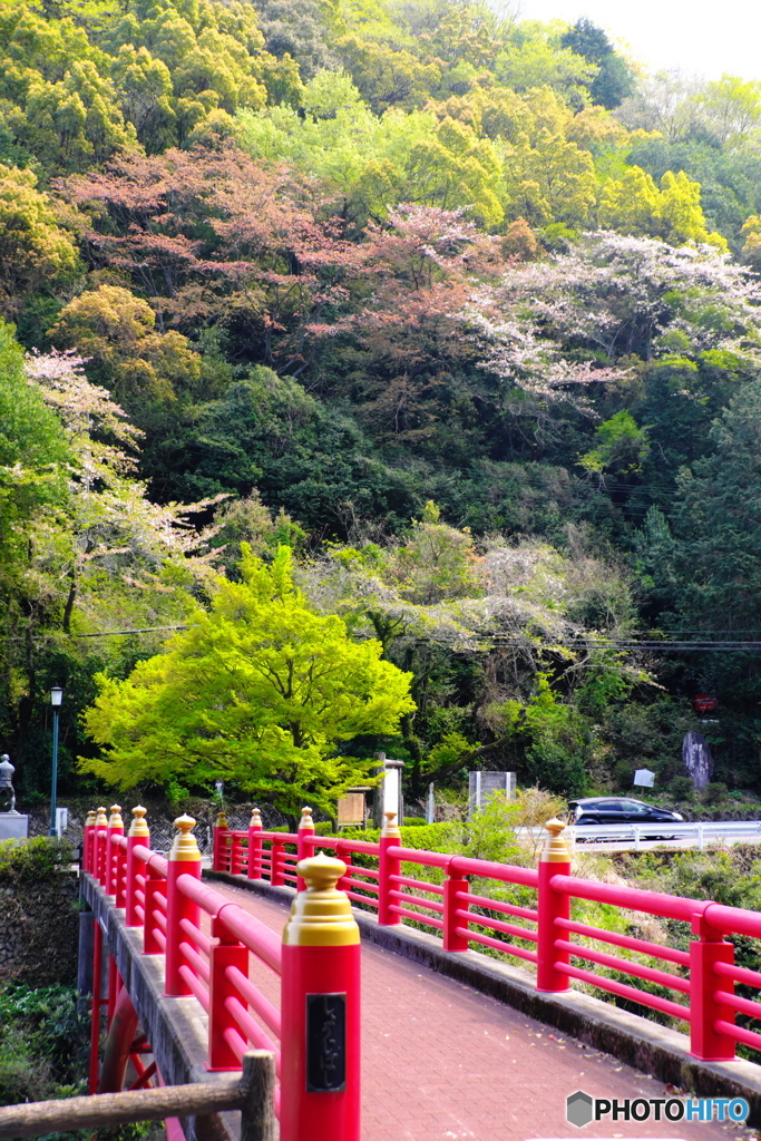 春色