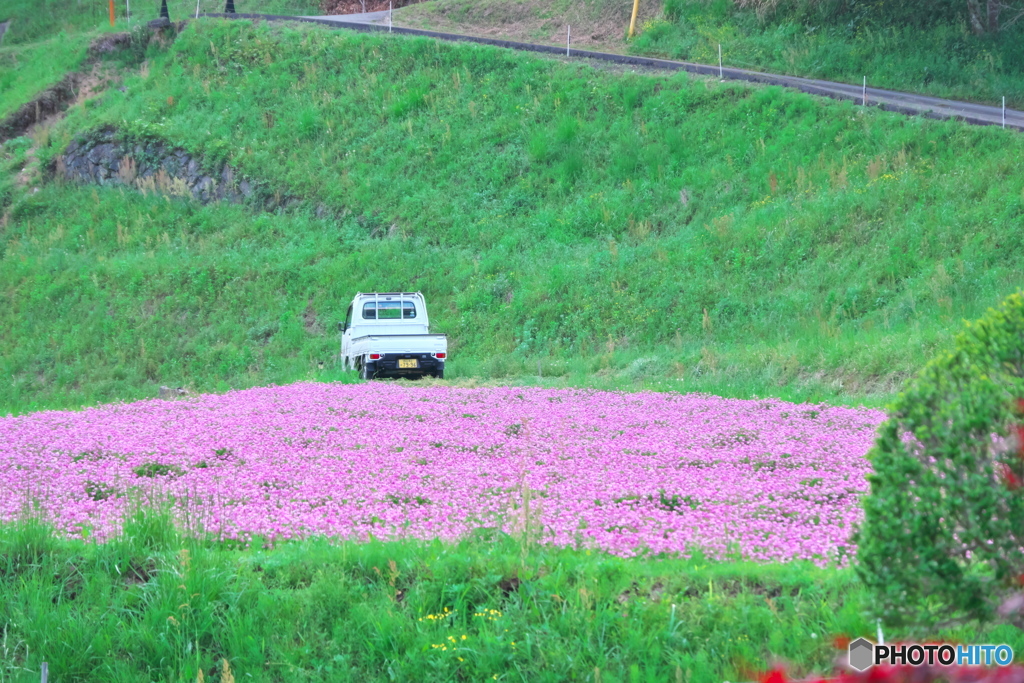 里山の春