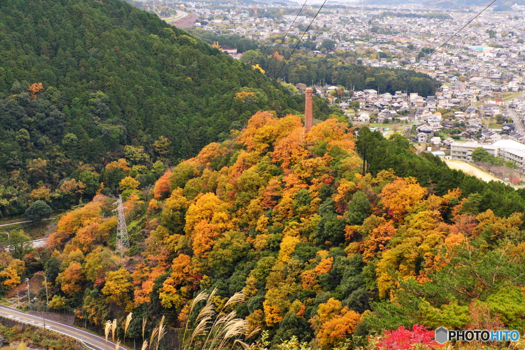 紅葉