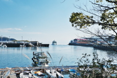長閑な海