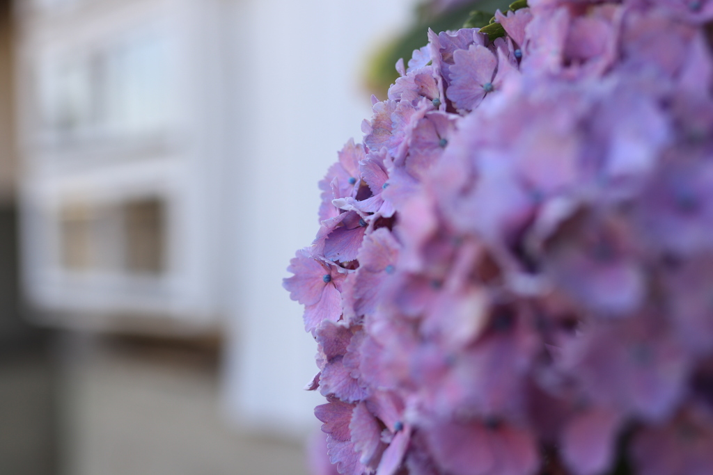 3F7E2BC5-5DD3-4EB7-ABBE-7C4936AB361B